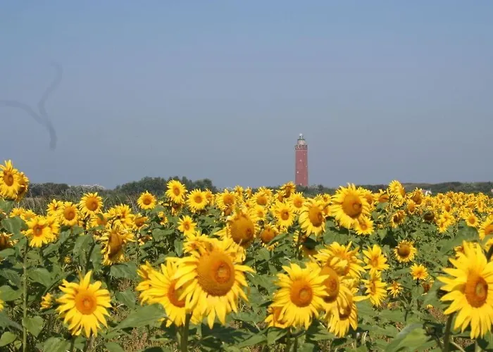 Huijsmans Verhuur Type B De Luxe Zuiderdiep 14 *