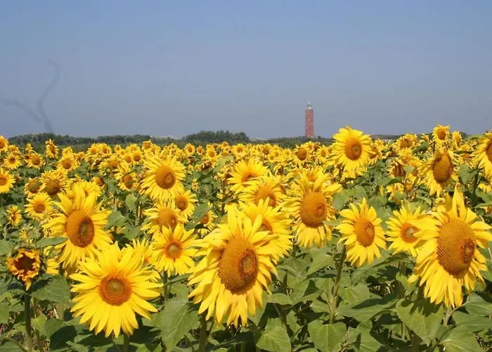Huijsmans Verhuur Type B De Luxe Zuiderdiep 14 *
