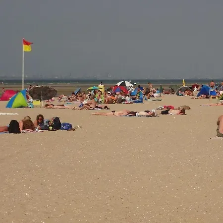 Huijsmans Verhuur Type B De Luxe Zuiderdiep 14 * Ouddorp